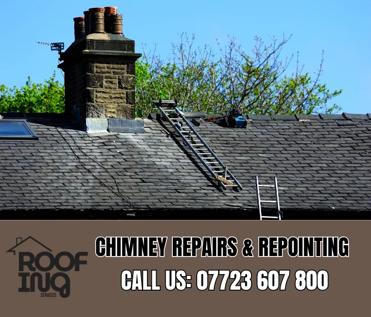 Chimney repair and repointing services in Kingsteignton