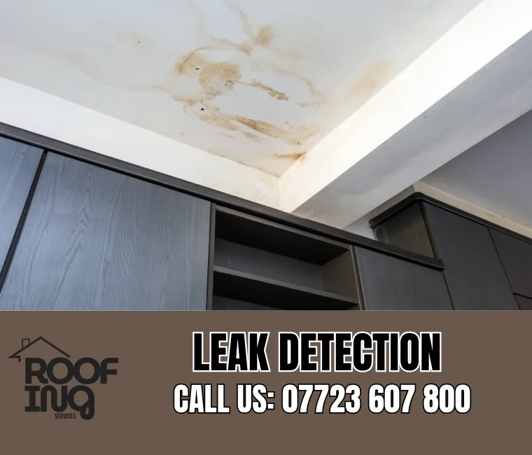 Roof leak detection and repair in Kingsteignton