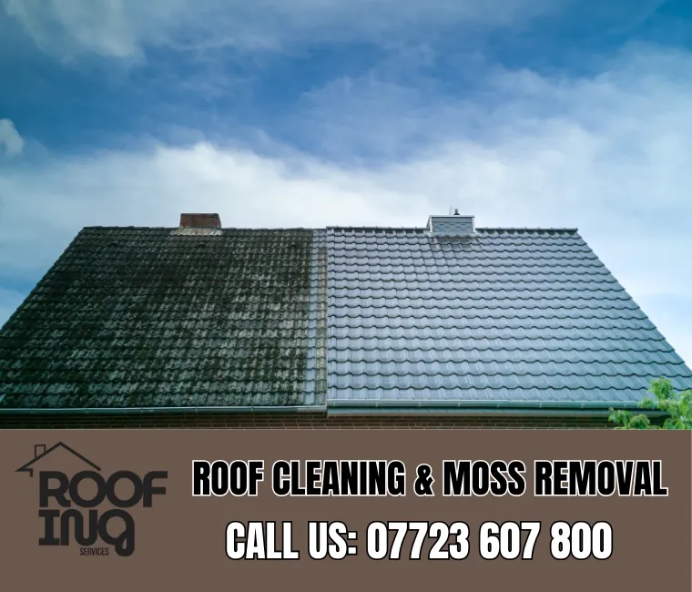 Roof cleaning and moss removal in Kingsteignton