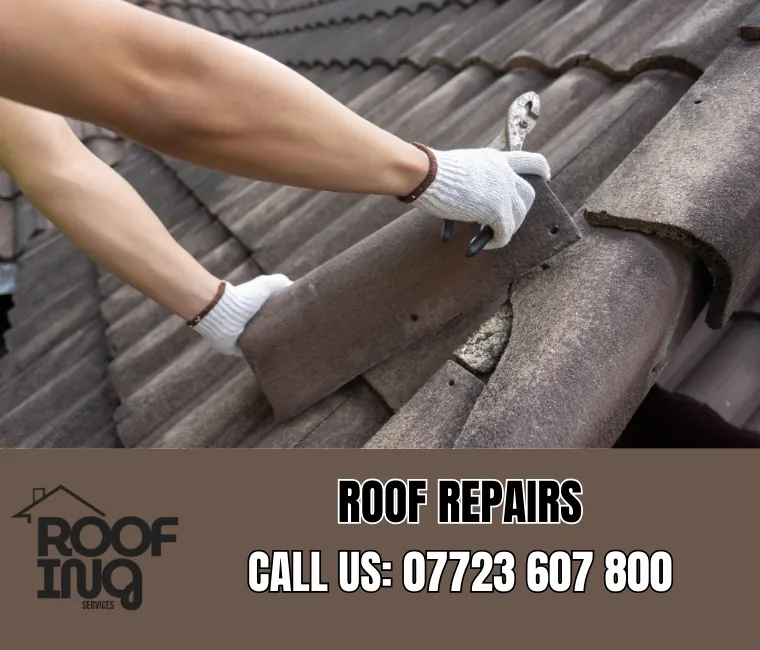 Professional roof repair services in Kingsteignton